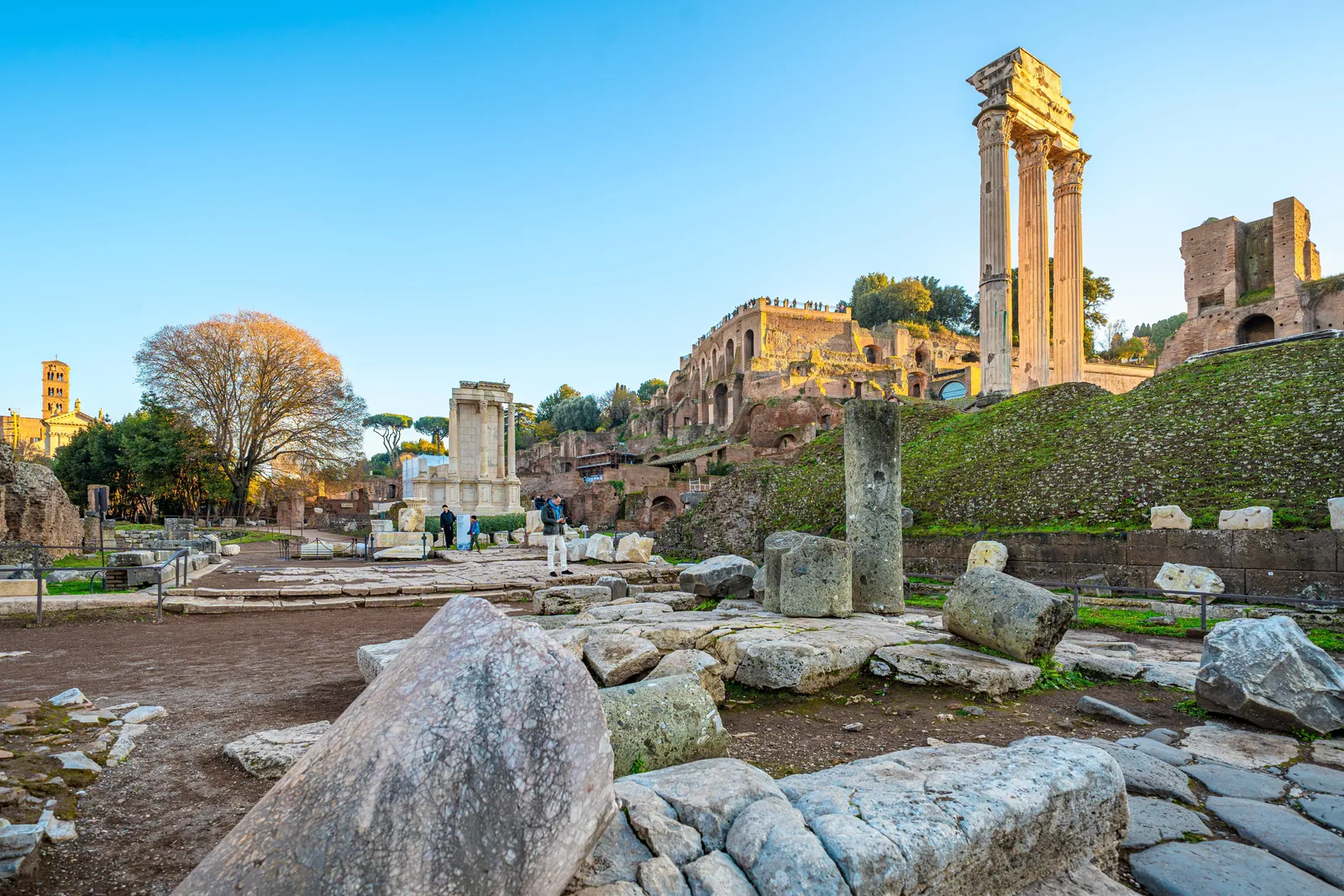Columns and ruins of the Roman Forum